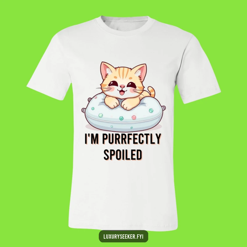 Funny Cat Gemstone Pillow T-Shirt, Divine Feline Comfort, A Hilarious Funny Gift